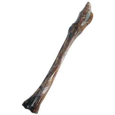 تشویقی طبیعی سگ ماتیار قلم شترمرغ یک عددی